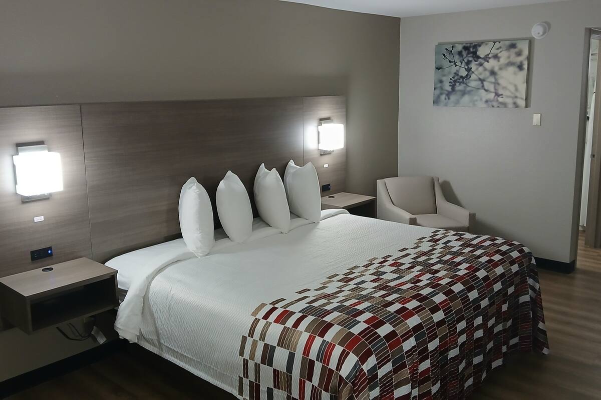 Standard Room, 1 King Bed, Non Smoking (2nd Floor) | Premium bedding, down comforters, desk, laptop workspace