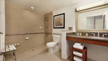 A bathroom with a shower, toilet, and vanity with a mirror.