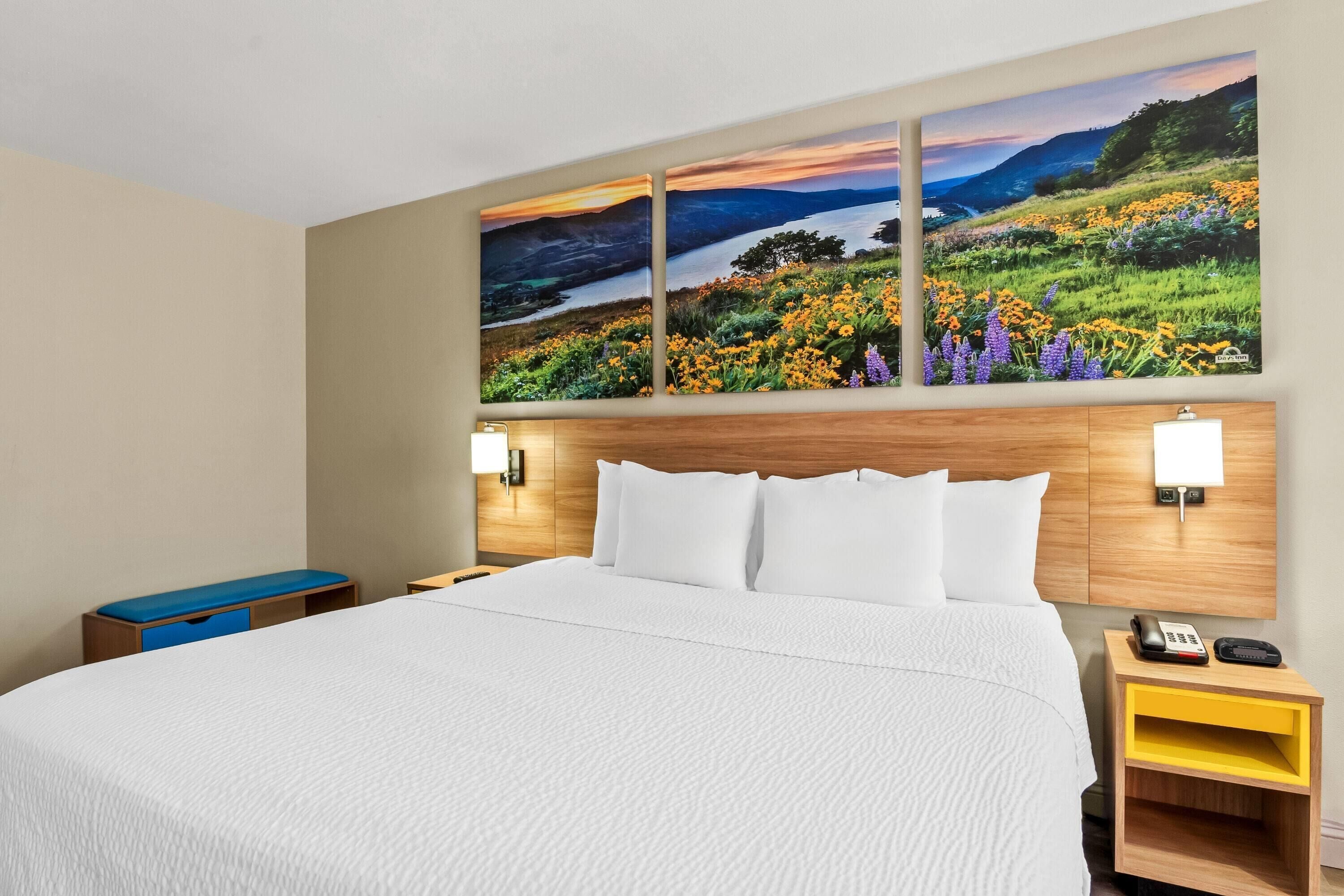 Standard Room, 1 King Bed | Desk, laptop workspace, blackout drapes, iron/ironing board