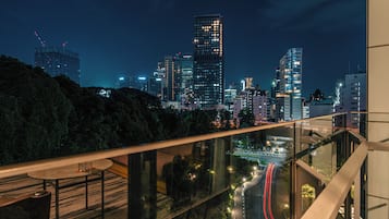 Vista del balcón