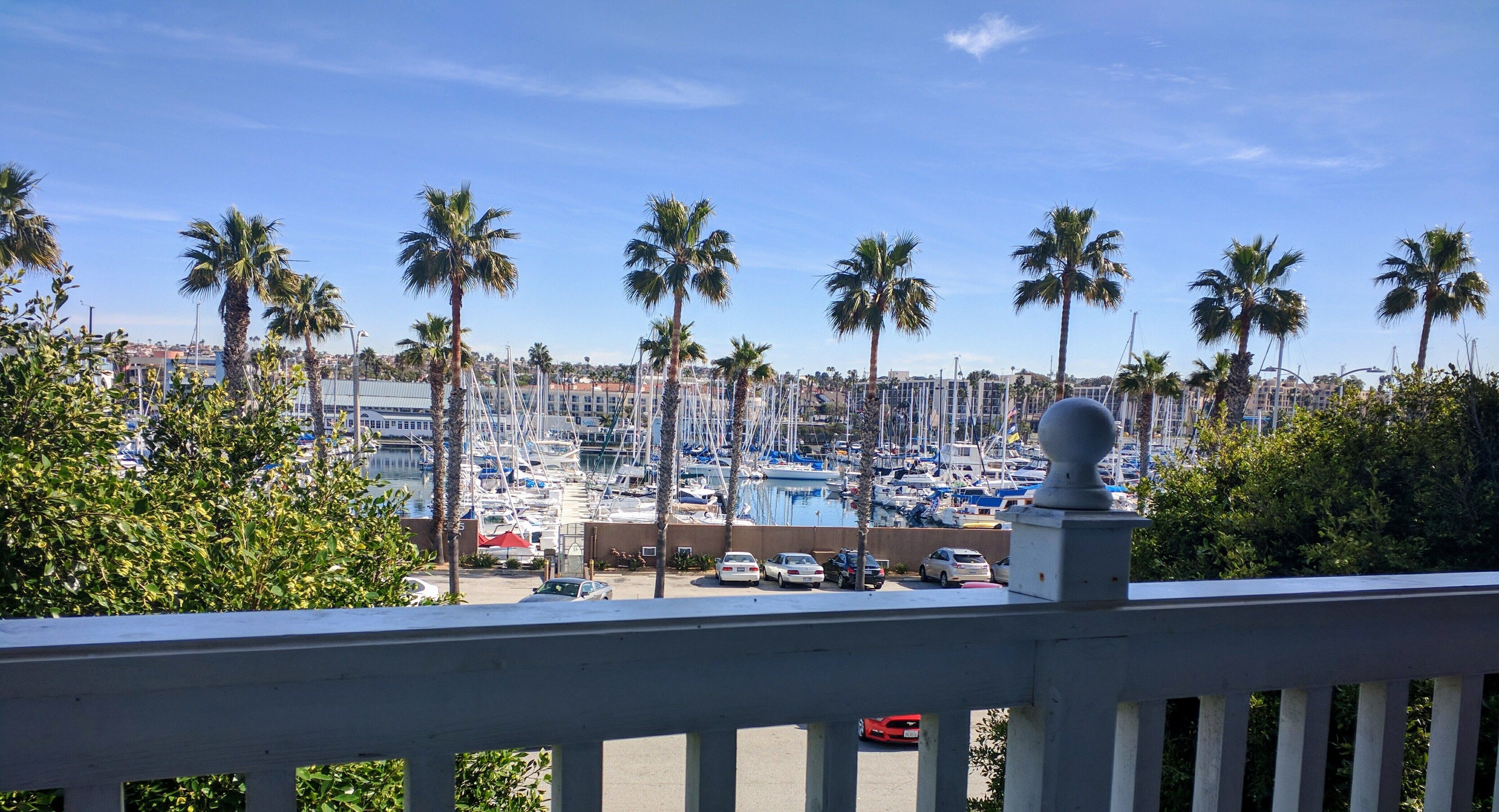 A marina with numerous boats docked, surrounded by palm trees and a clear blue sky.