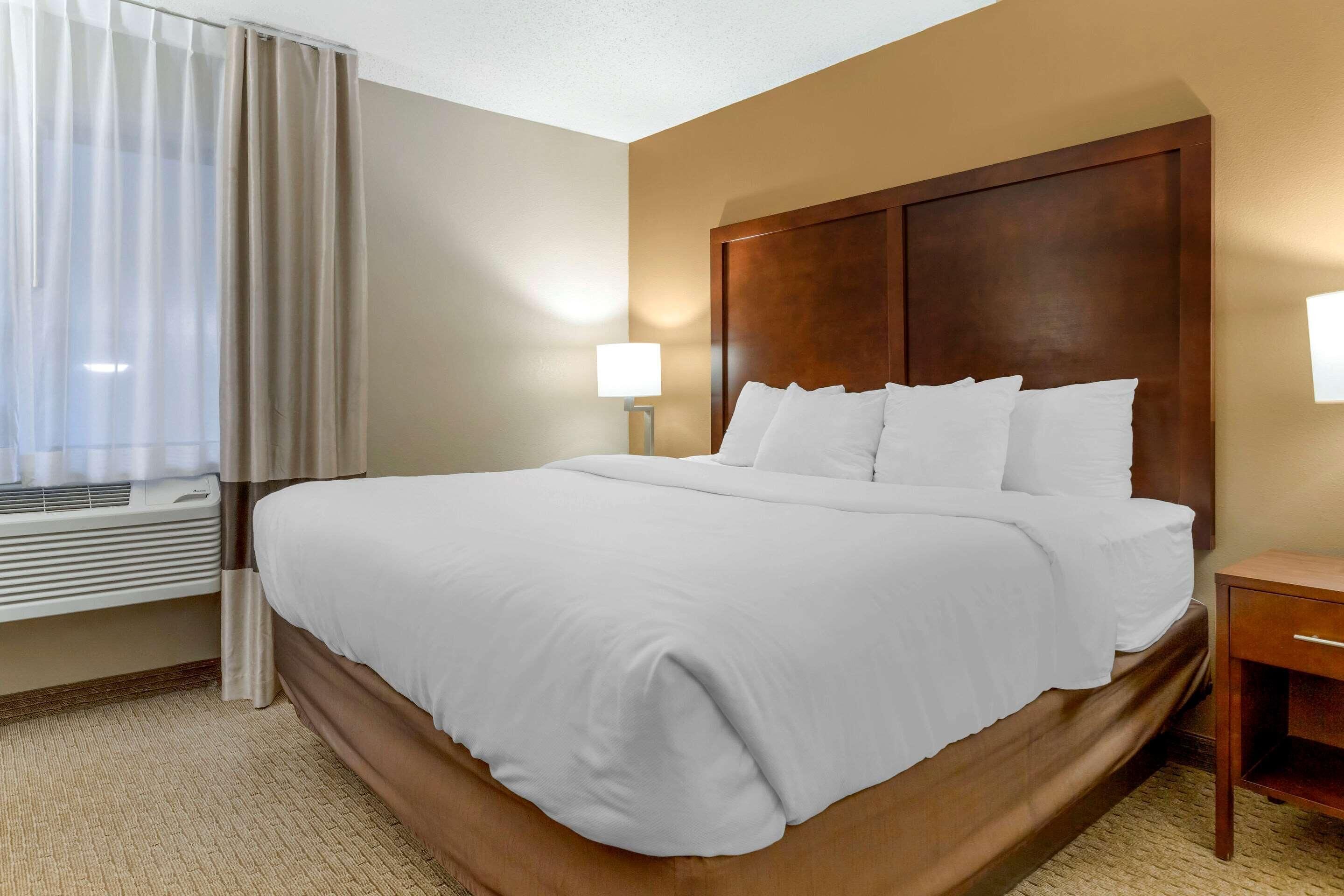 Premium bedding, pillow-top beds, in-room safe, desk