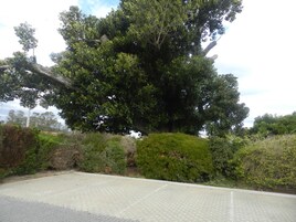 Jardín