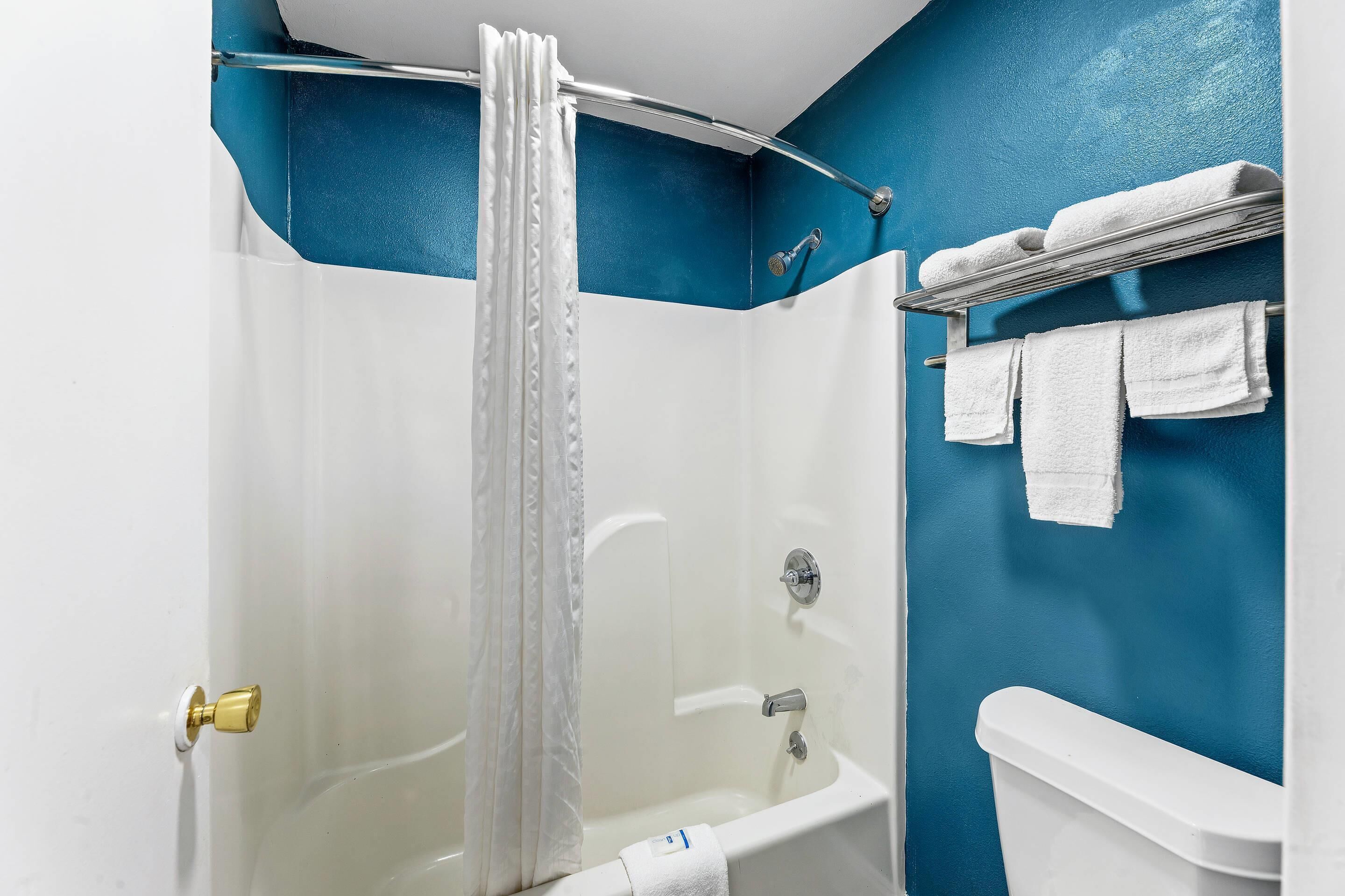 A bathroom with a shower, a bathtub, and a toilet.
