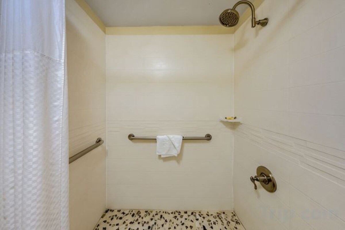 Accessible-Suite Queen Bed,Mobility Accessible,Communication Assistance,Walk in Shower,Sofabed,Non-Smoking