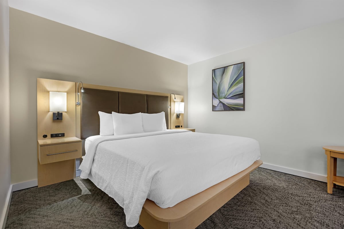 Suite, 1 letto king, accessibile ai disabili, non fumatori (Walk-in Shower;with Sofabed) | Biancheria da letto di alta qualità, materassi a doppio strato