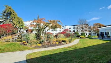 A residential area with a well-maintained lawn, a small pond, and a variety of trees and shrubs.