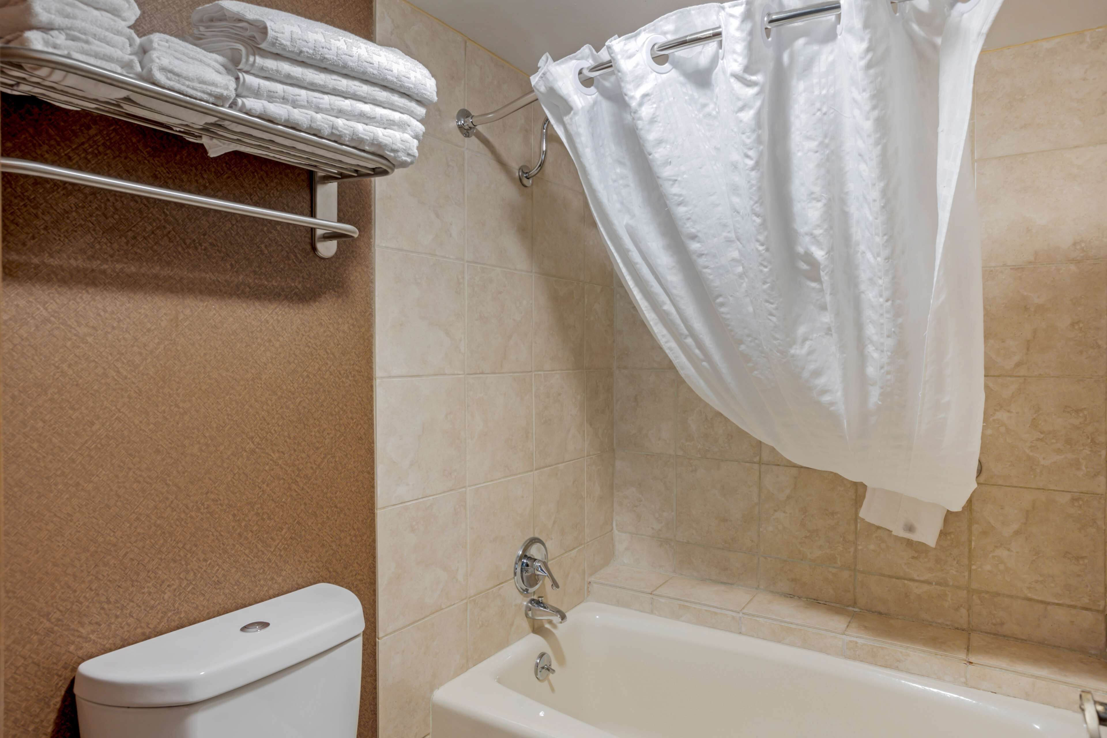 free toiletries, hair dryer, towels