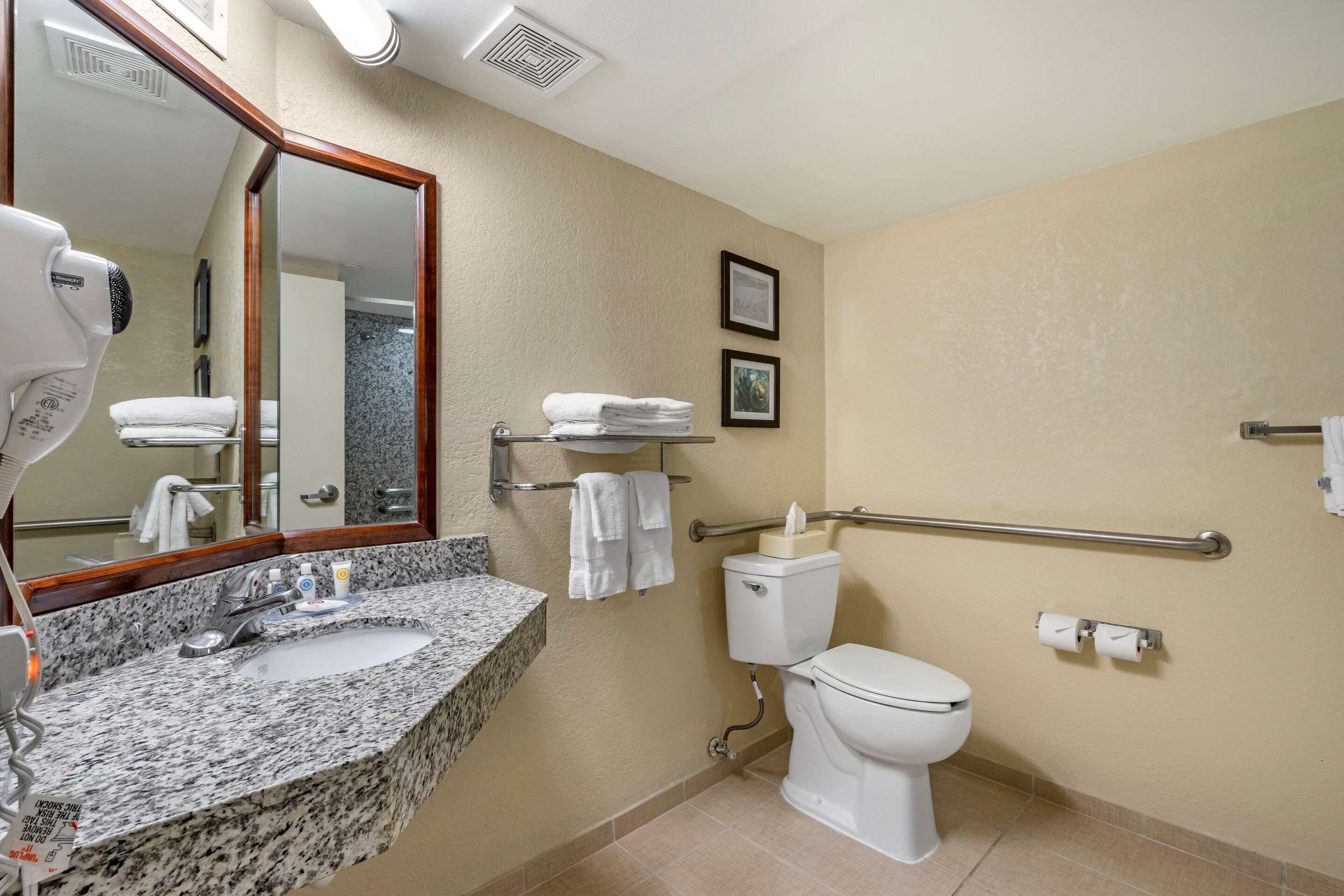 basic room, 1 queen bed, accessible, non smoking | bathroom | combined shower/bathtub, free toiletries, hair dryer, towels