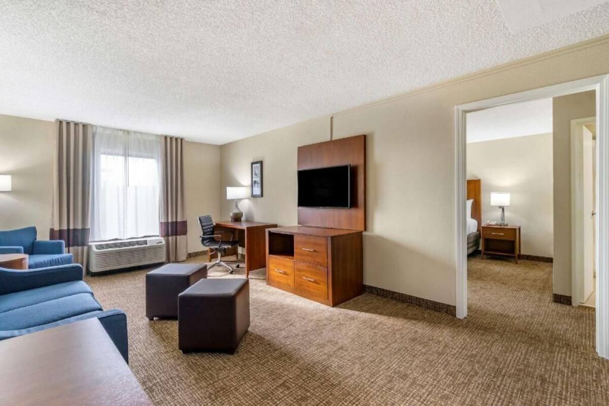 A hotel room with a sofa, a desk, a TV, and a lamp.
