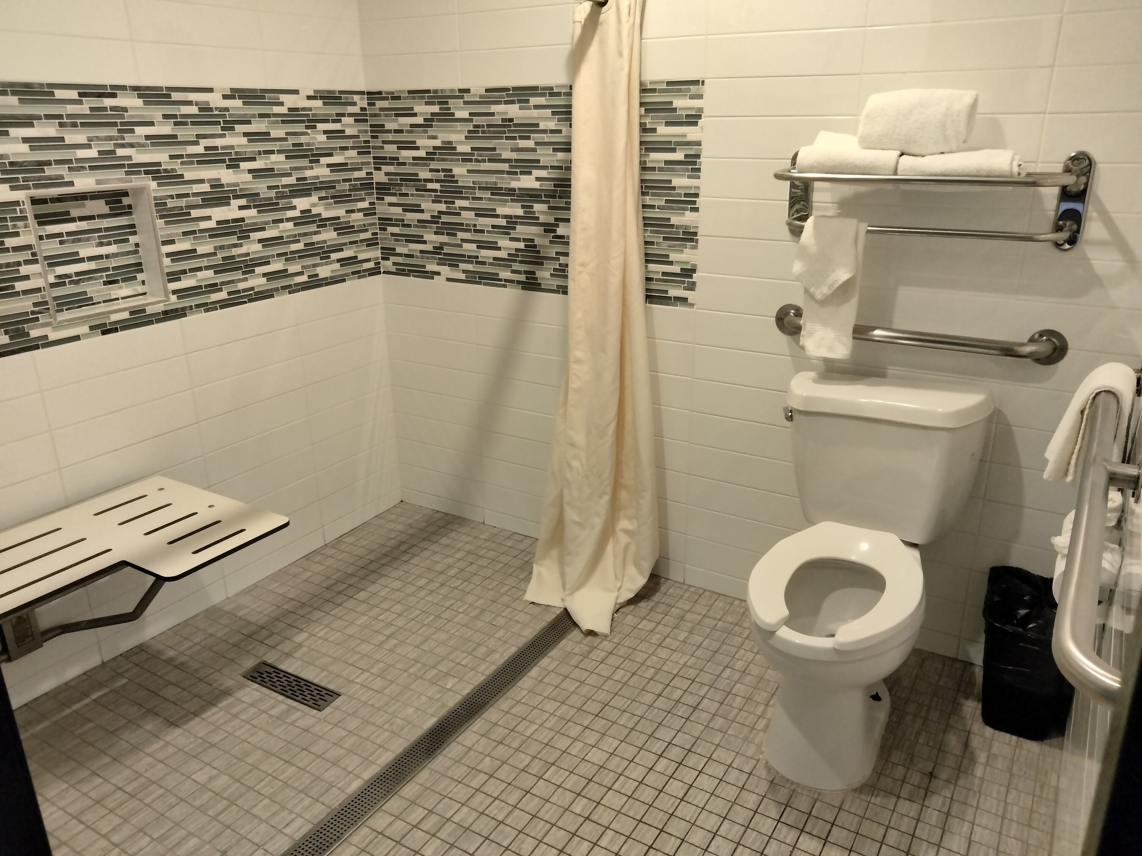 Une salle de bain équipée d’une douche, de toilettes, de barres d’appui et d’un porte-serviettes.