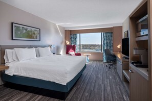 View from room - Hilton Garden Inn Toledo Downtown (Toledo)