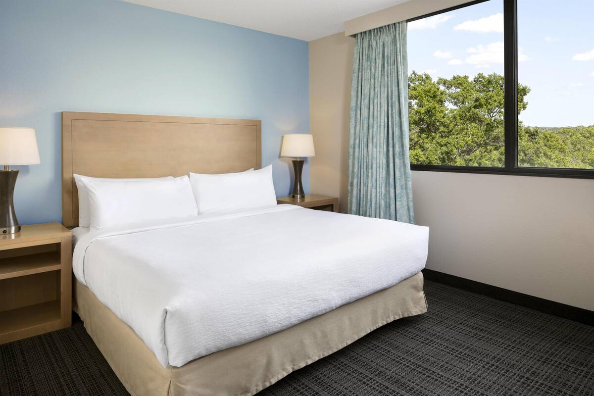 A hotel room with a large bed, two bedside tables with lamps, a window with a view of trees, and a carpeted floor.