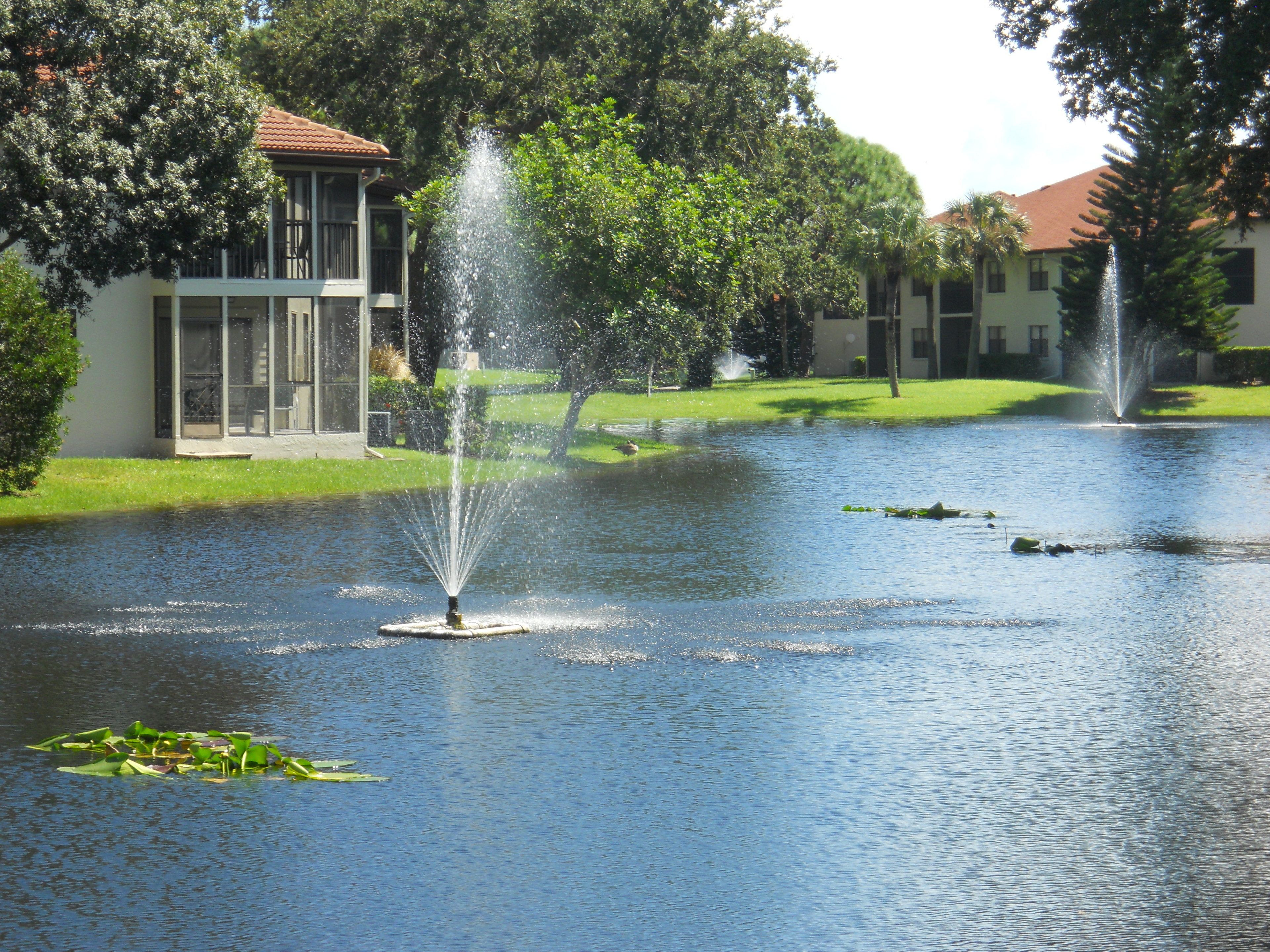 Ein friedlicher Teich mit Springbrunnen, umgeben von üppigem Grün und modernen Gebäuden.