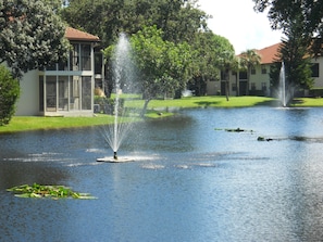 Property grounds - Shorewalk Vacation Villas (Bradenton)