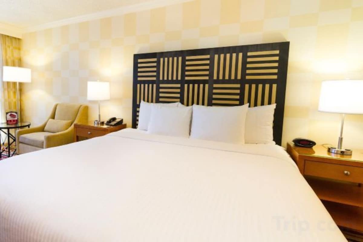 Accessible Cityside King Room