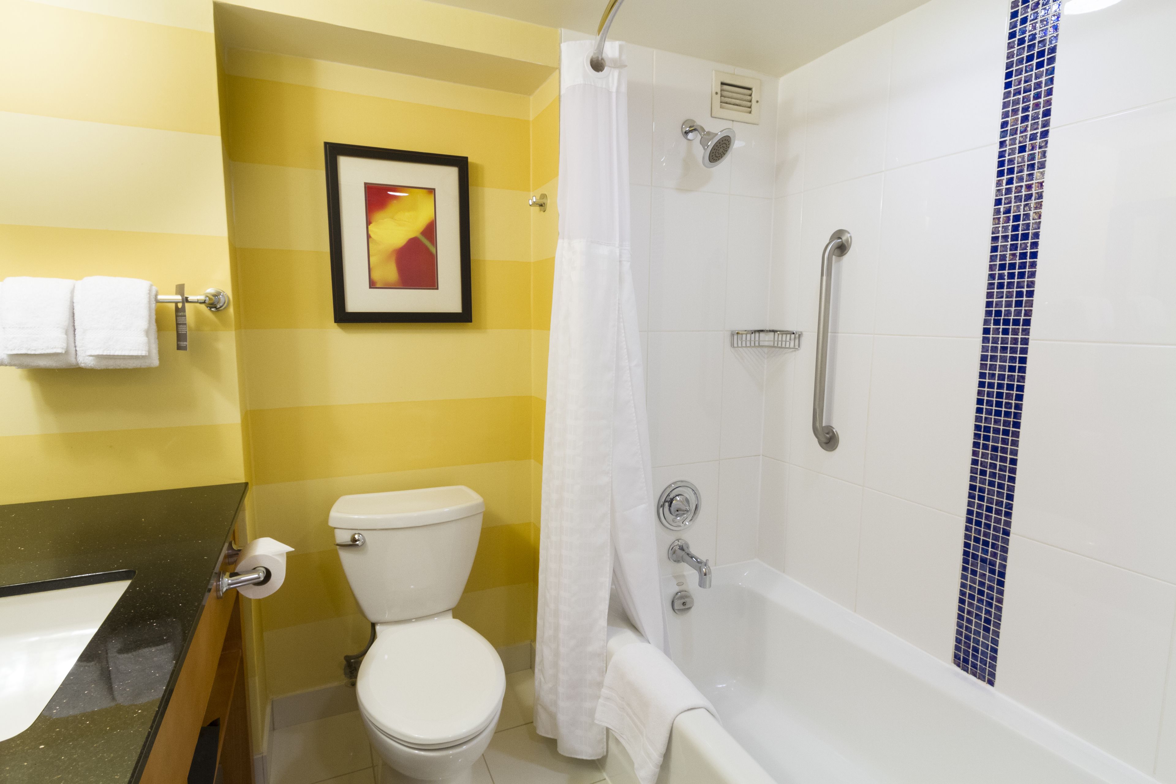 A bathroom with a toilet, a bathtub, and a shower curtain.