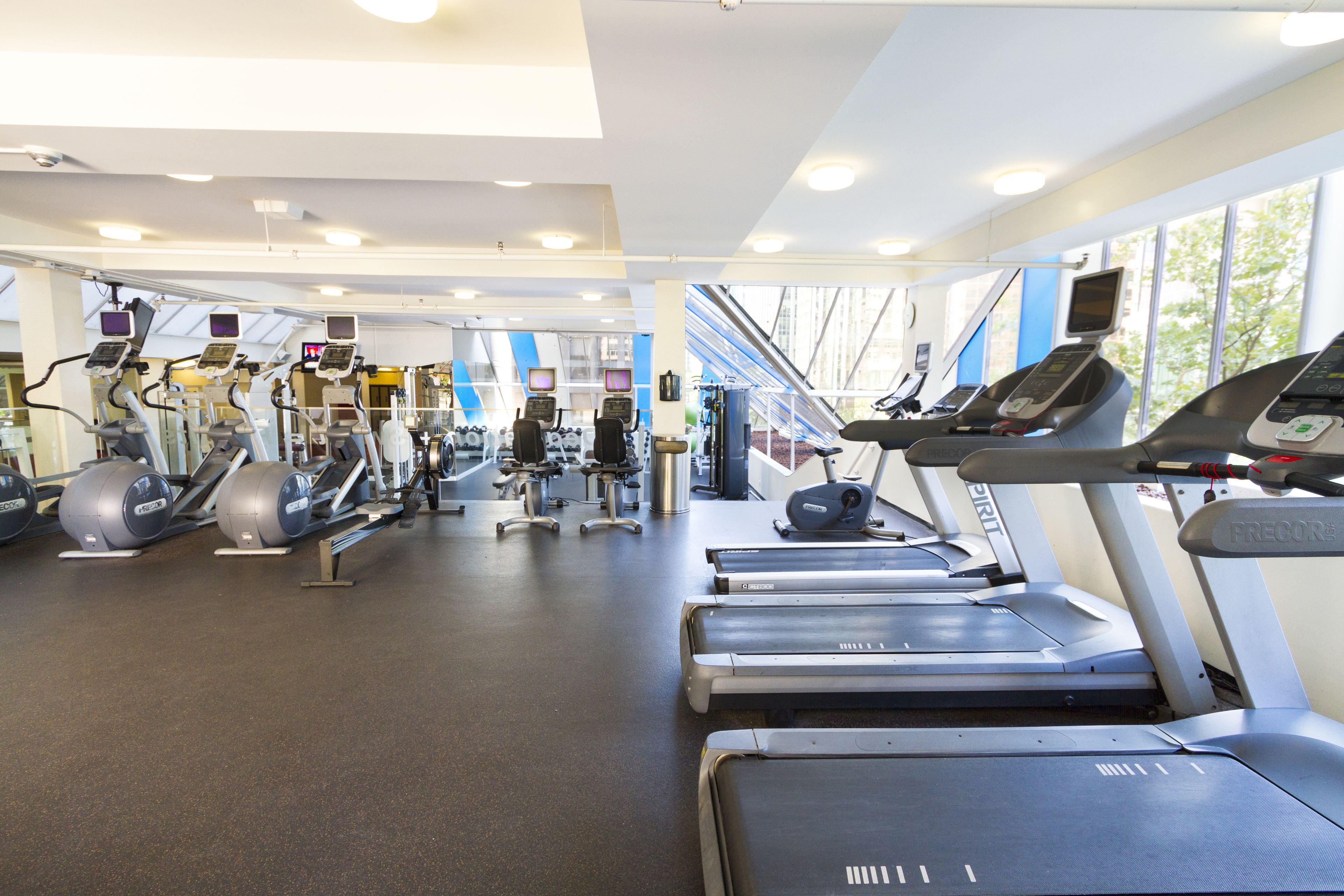 A gym with treadmills, ellipticals, and weight machines.