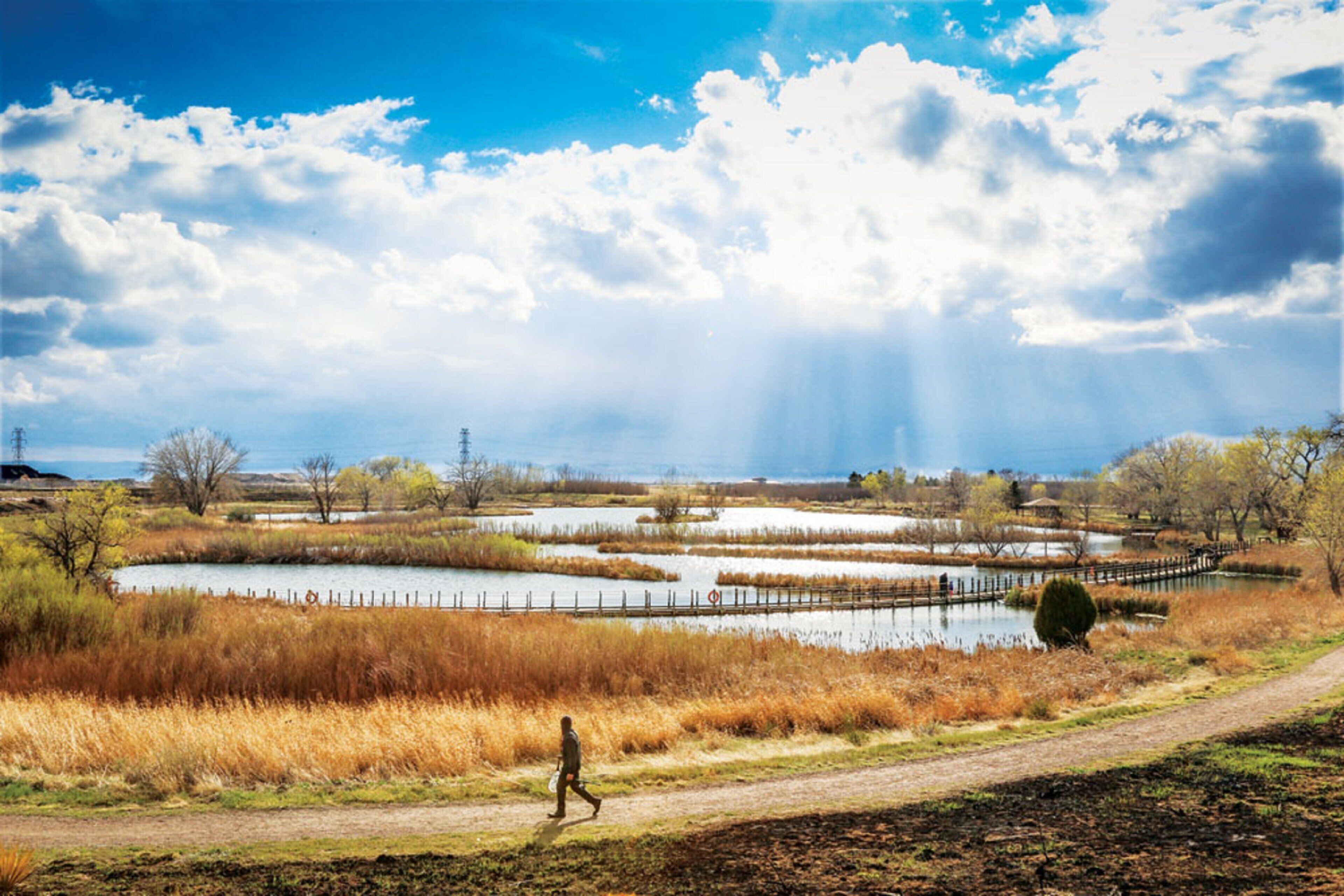 Foto - Holiday Inn Denver East by IHG