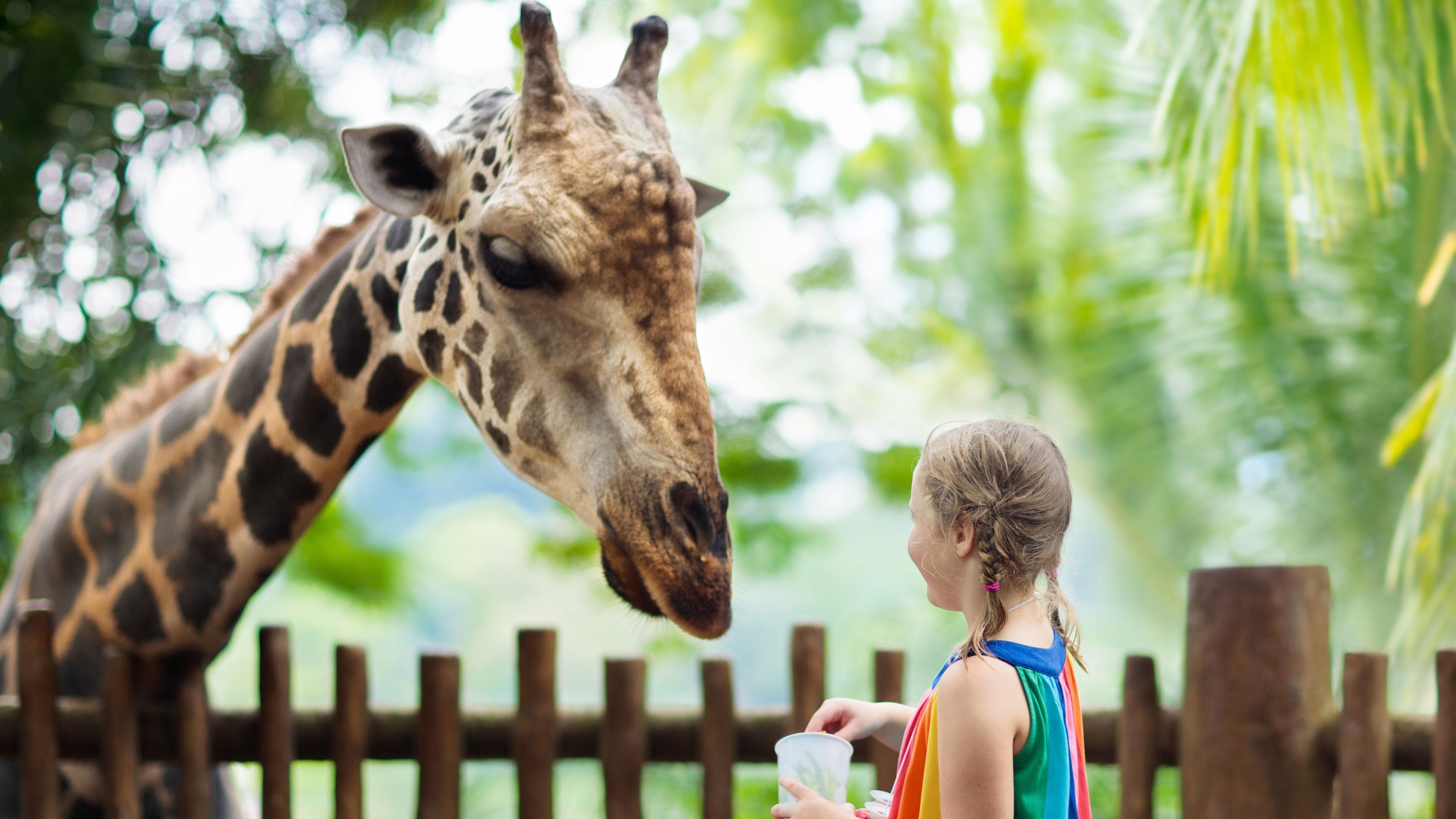 Foto - Holiday Inn Denver East by IHG