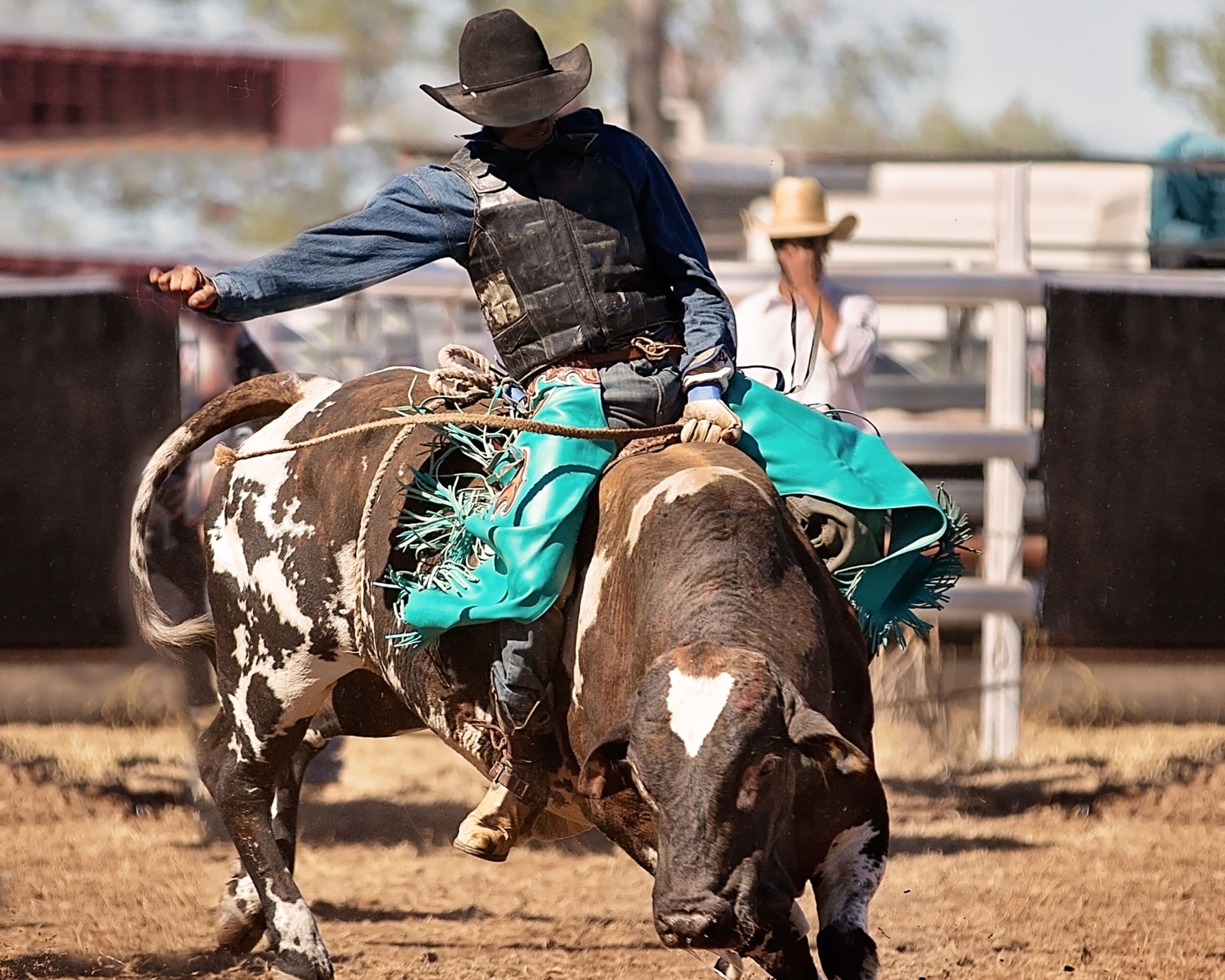 Foto - Holiday Inn Denver East by IHG