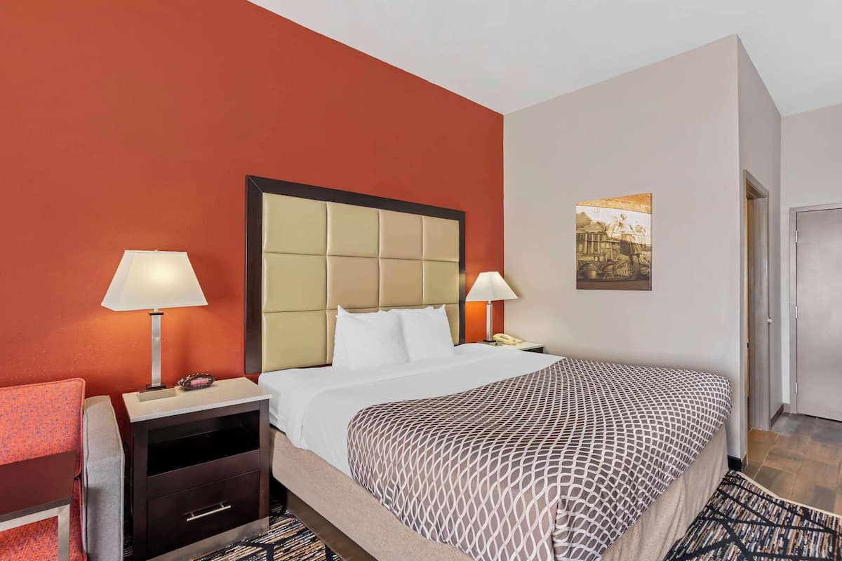 Standard Room, 1 Queen Bed, Non Smoking, Kitchen (Full Kitchen) | Individually furnished, desk, laptop workspace, blackout curtains