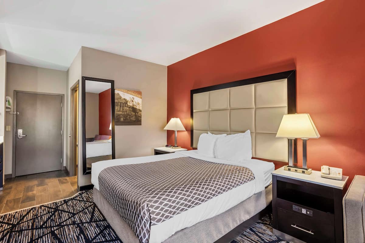 Standard Room, 1 King Bed, Non Smoking, Refrigerator & Microwave | Individually furnished, desk, laptop workspace, blackout curtains