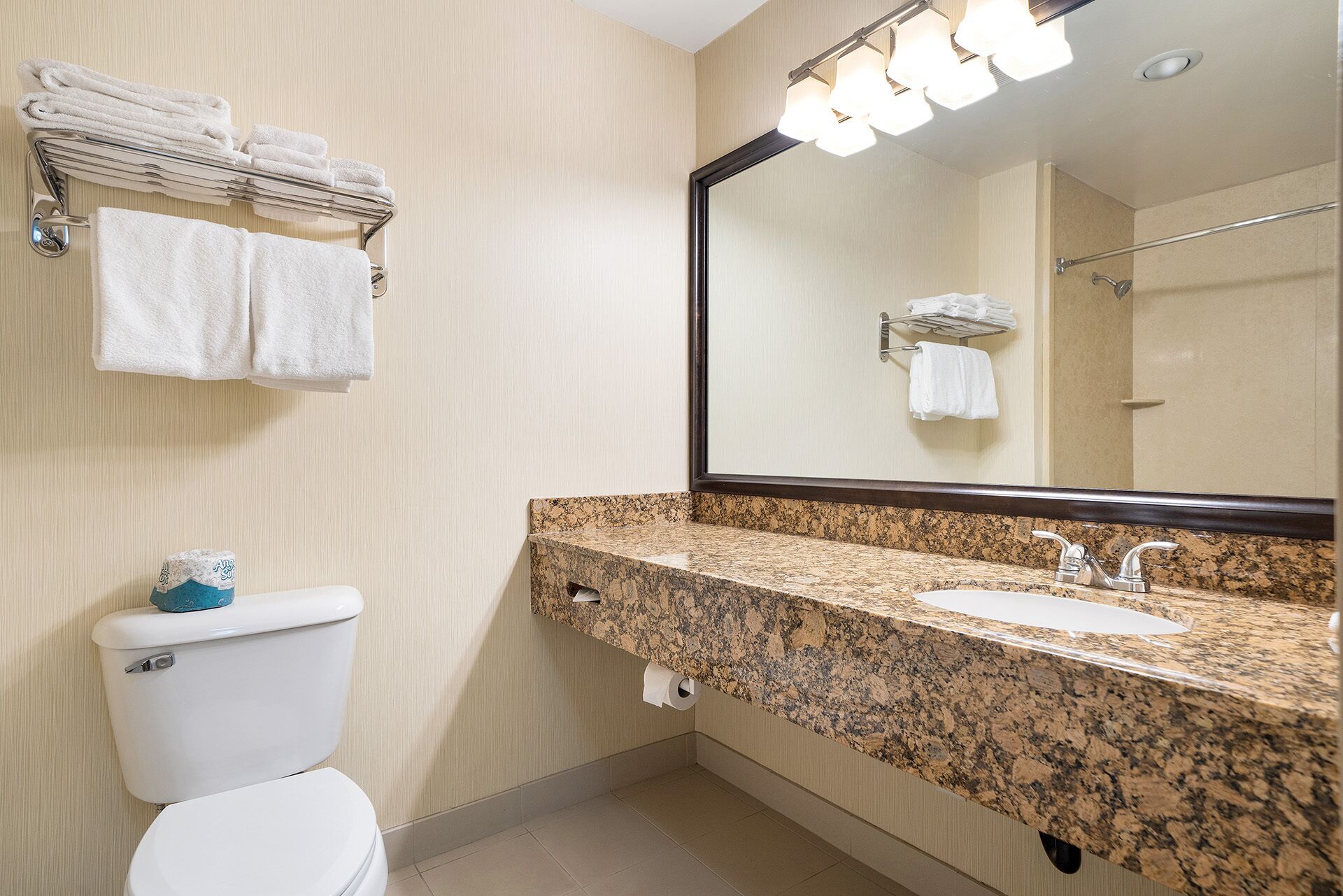 Een badkamer met toilet, wastafel en spiegel. Handdoeken hangen aan een rek en er is een rol toiletpapier aan de muur.