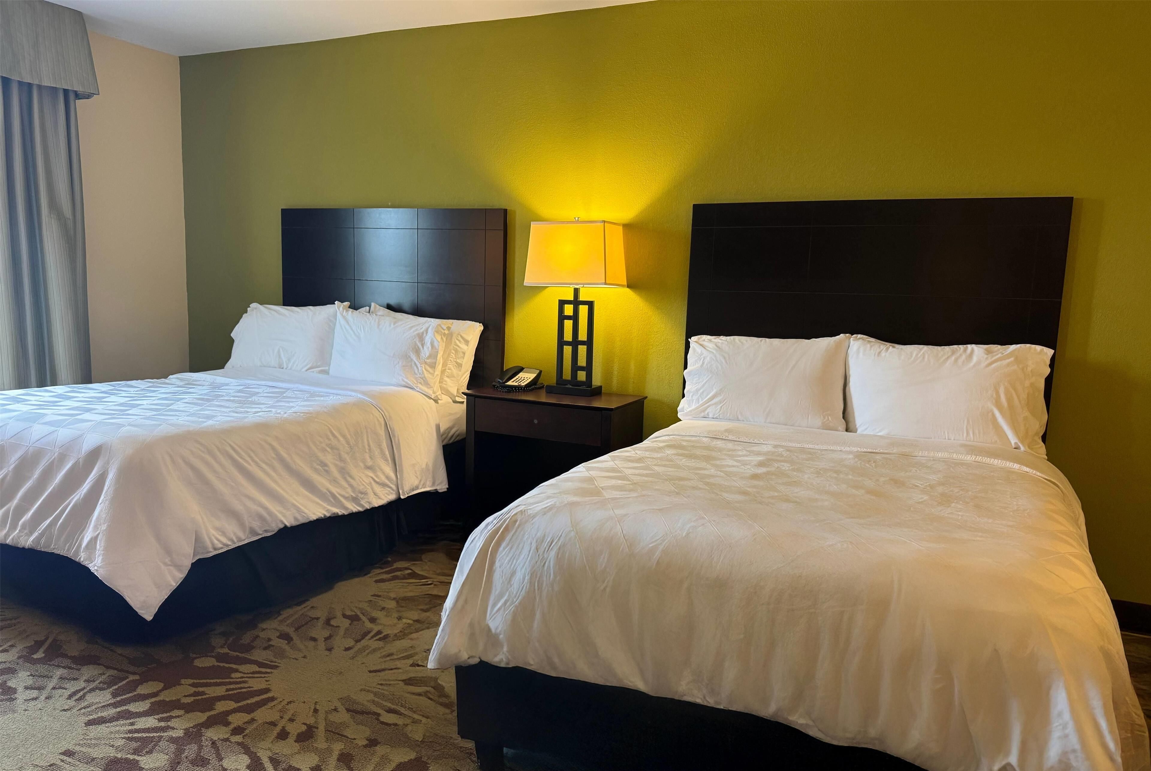 Een hotelkamer met twee bedden, een nachtkastje met een lamp en een kamerbreed tapijt met een patroon.