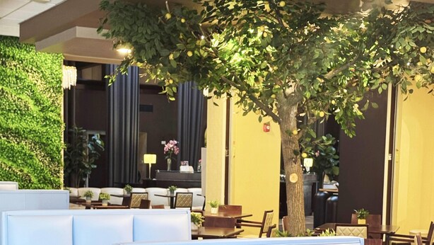 Un espace de détente intérieur moderne, agrémenté d’un arbre, de sièges confortables et d’un mur végétal.