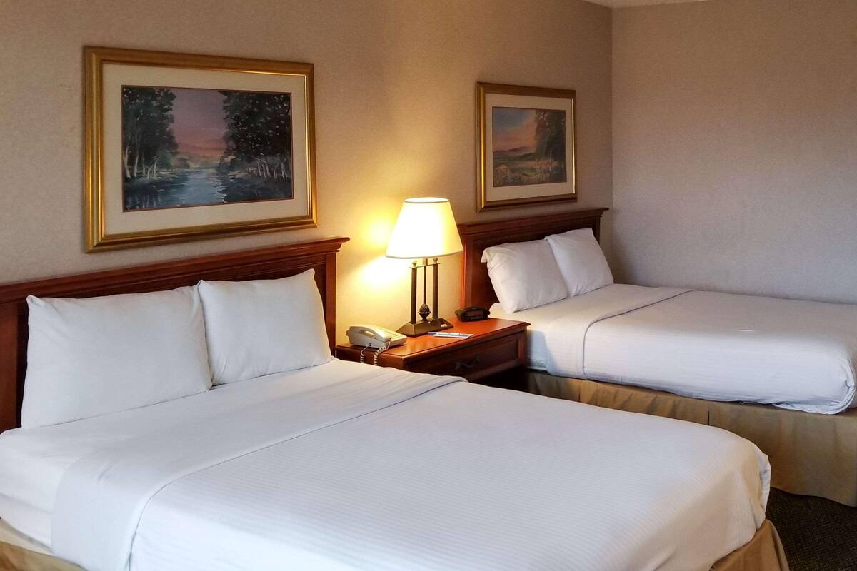 Two adjacent beds with white linens, a bedside lamp, a phone, and two framed landscape paintings on the wall.