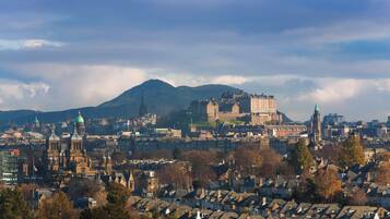 A historic cityscape with a prominent castle on a hill, surrounded by residential buildings and a cathedral.