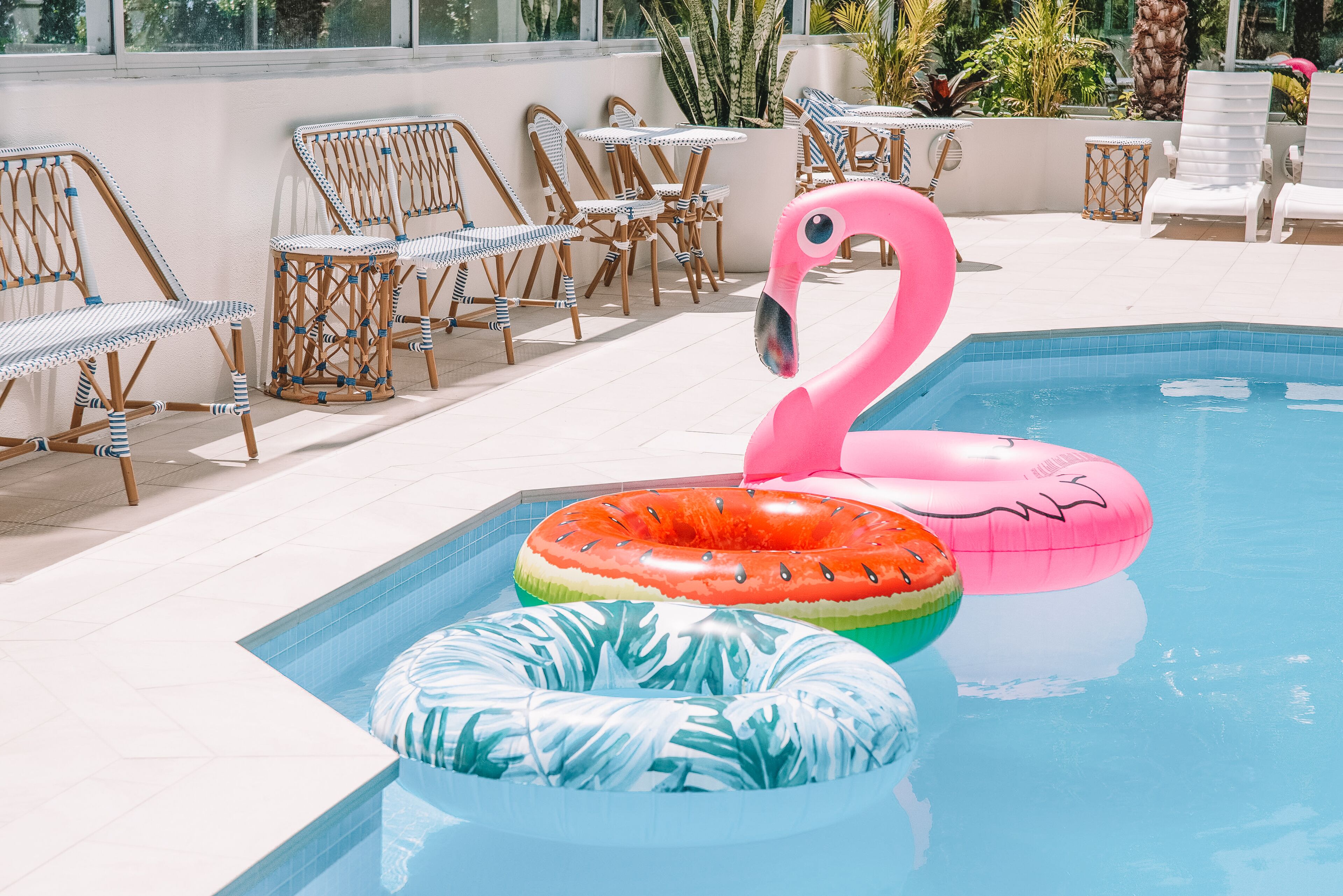 outdoor pool, pool loungers