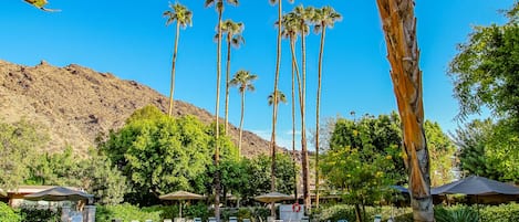 3 outdoor pools