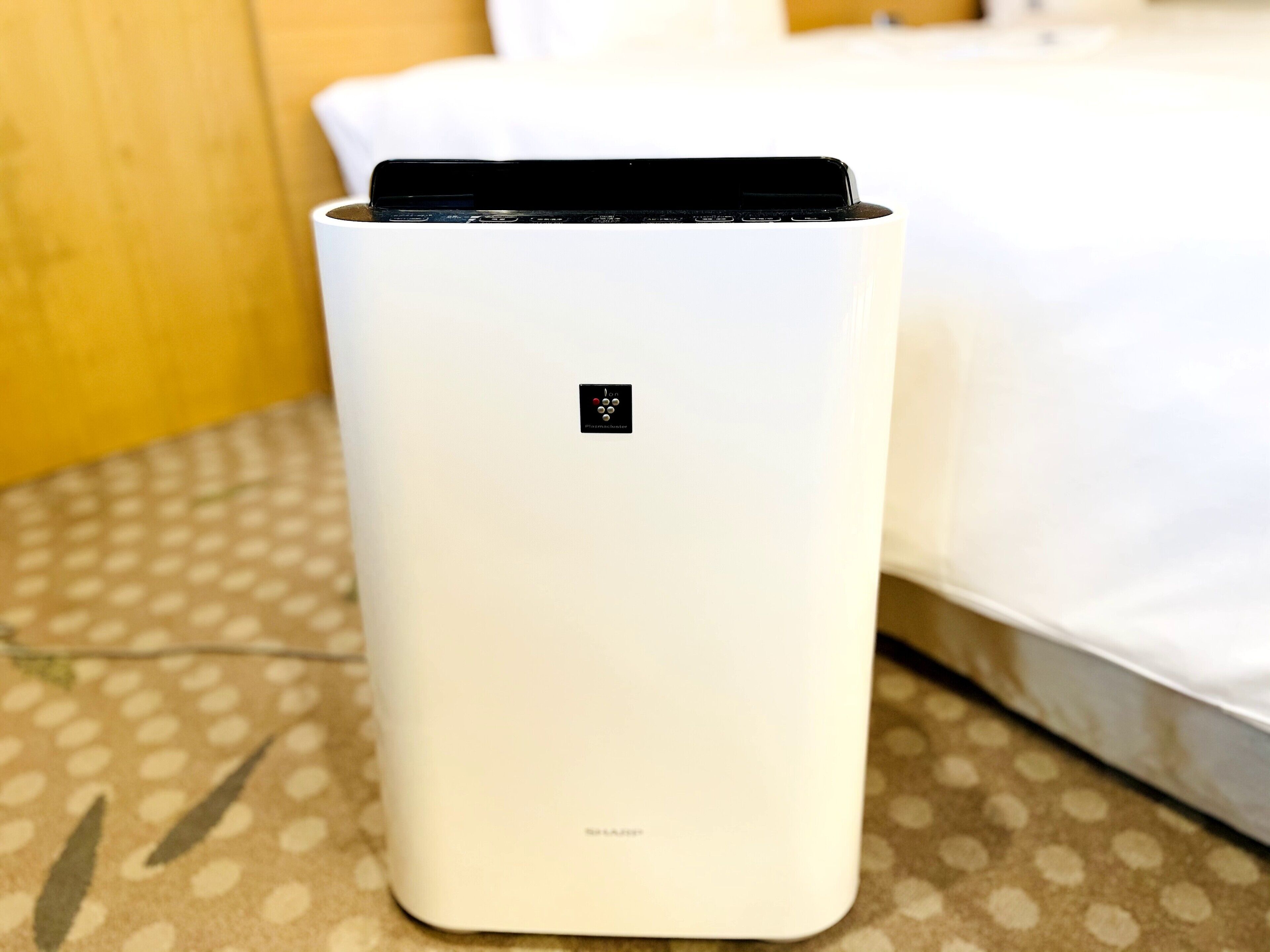 羽絨被、客房內保險箱、書桌、遮光布/窗簾