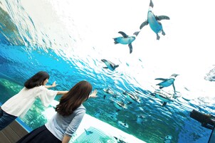 สถานที่น่าสนใจ