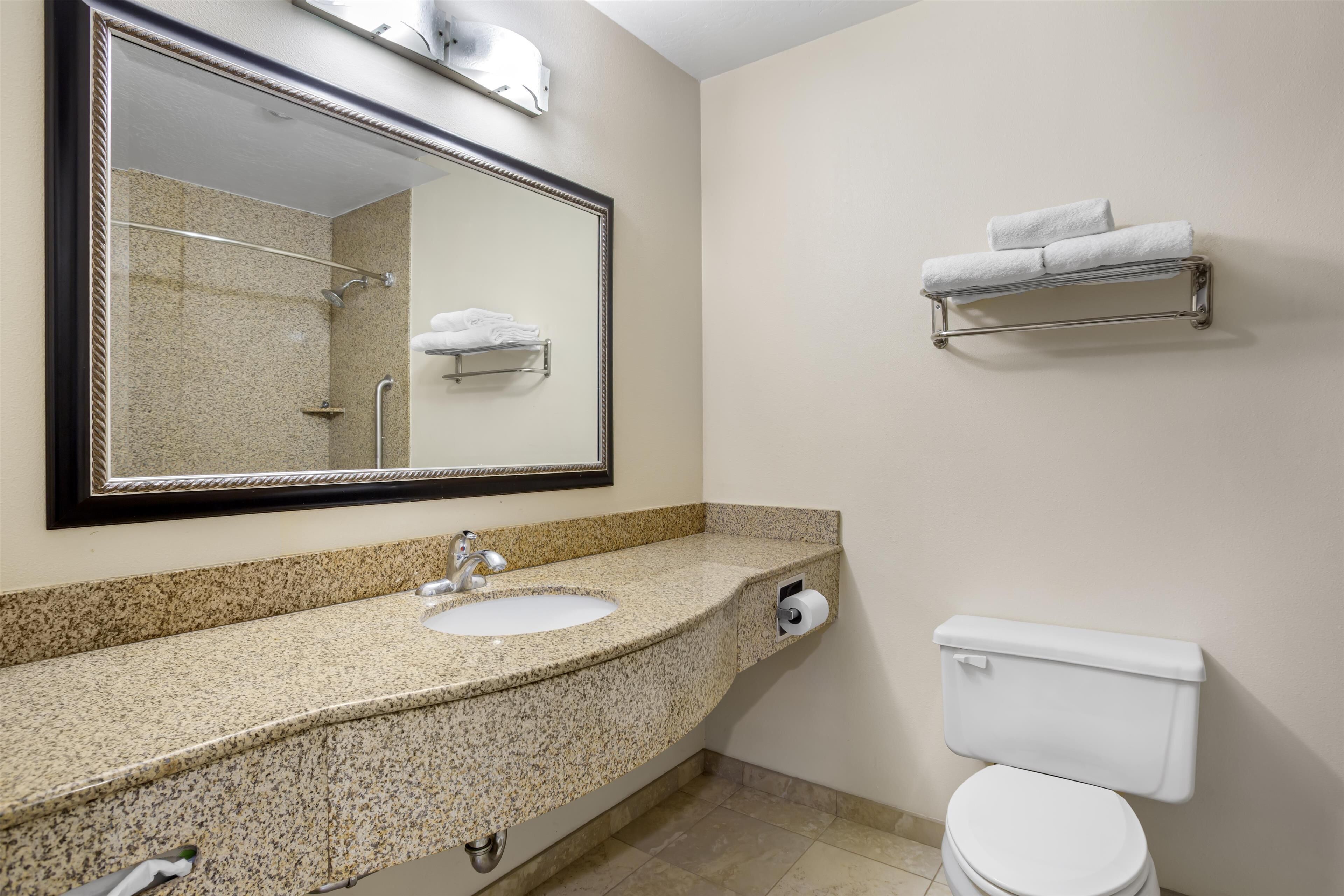 Une salle de bain avec un lavabo doté d’un plan de travail en granit, un grand miroir, des toilettes et un porte-serviettes.