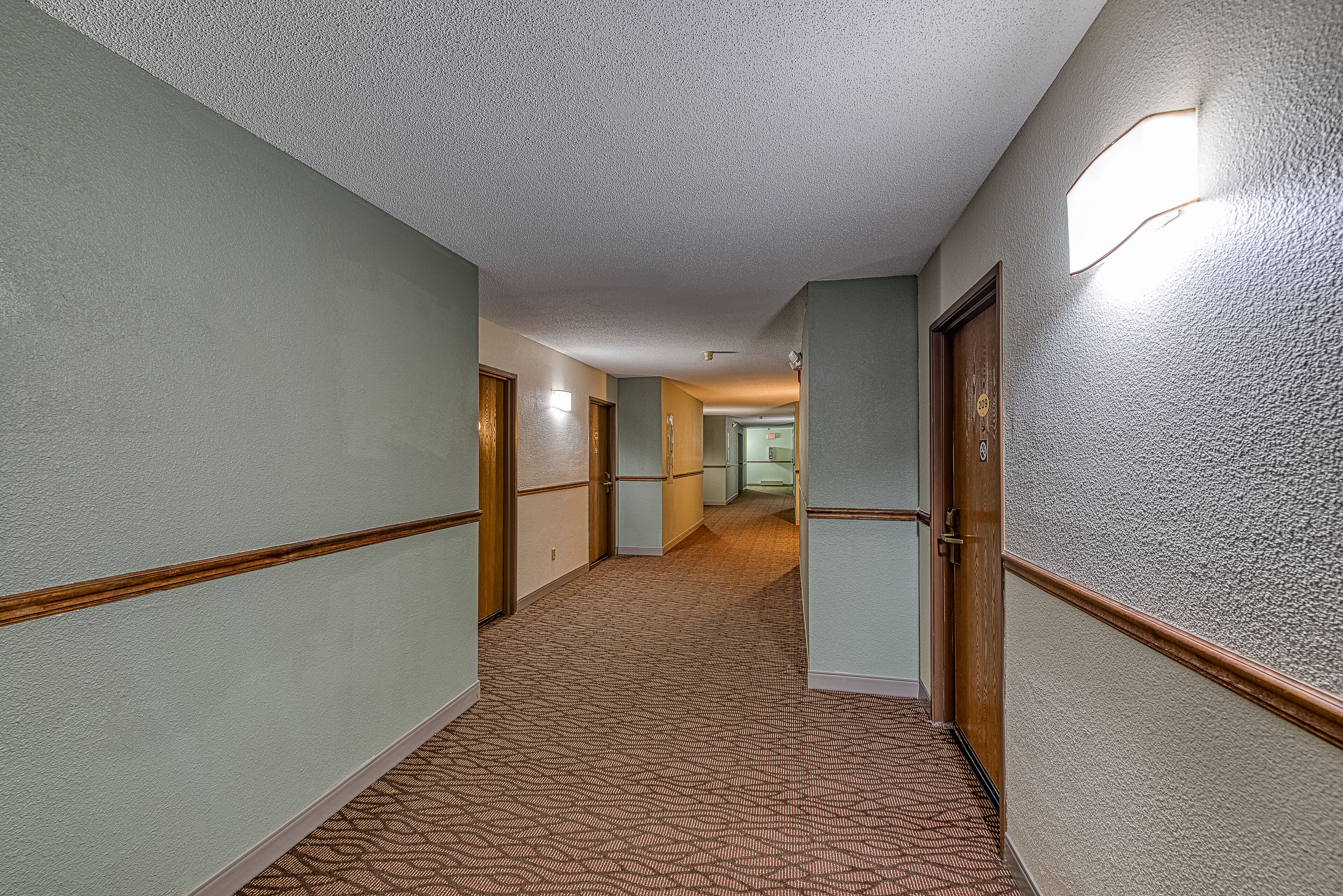 A hallway with carpeted floors and walls painted in light green, leading to multiple doors.