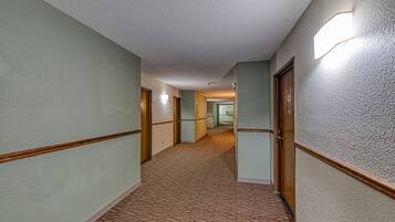 A hallway with carpeted floors and walls painted in light green, leading to multiple doors.