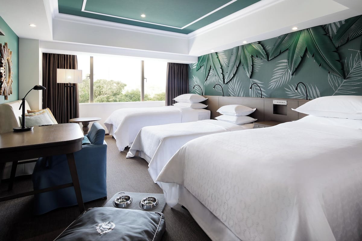 Room, 3 Twin Beds, Non Smoking (Dog Friendly) | Premium bedding, down comforters, pillowtop beds, in-room safe