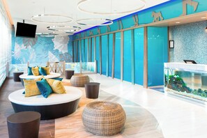 Accommodatievoorzieningen