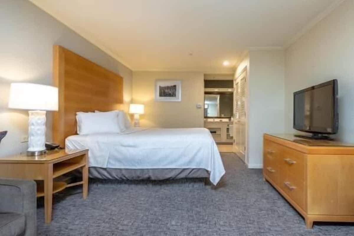 Une chambre d’hôtel avec un lit, des lampes de chevet, une télévision, une commode en bois et un sol recouvert de moquette.