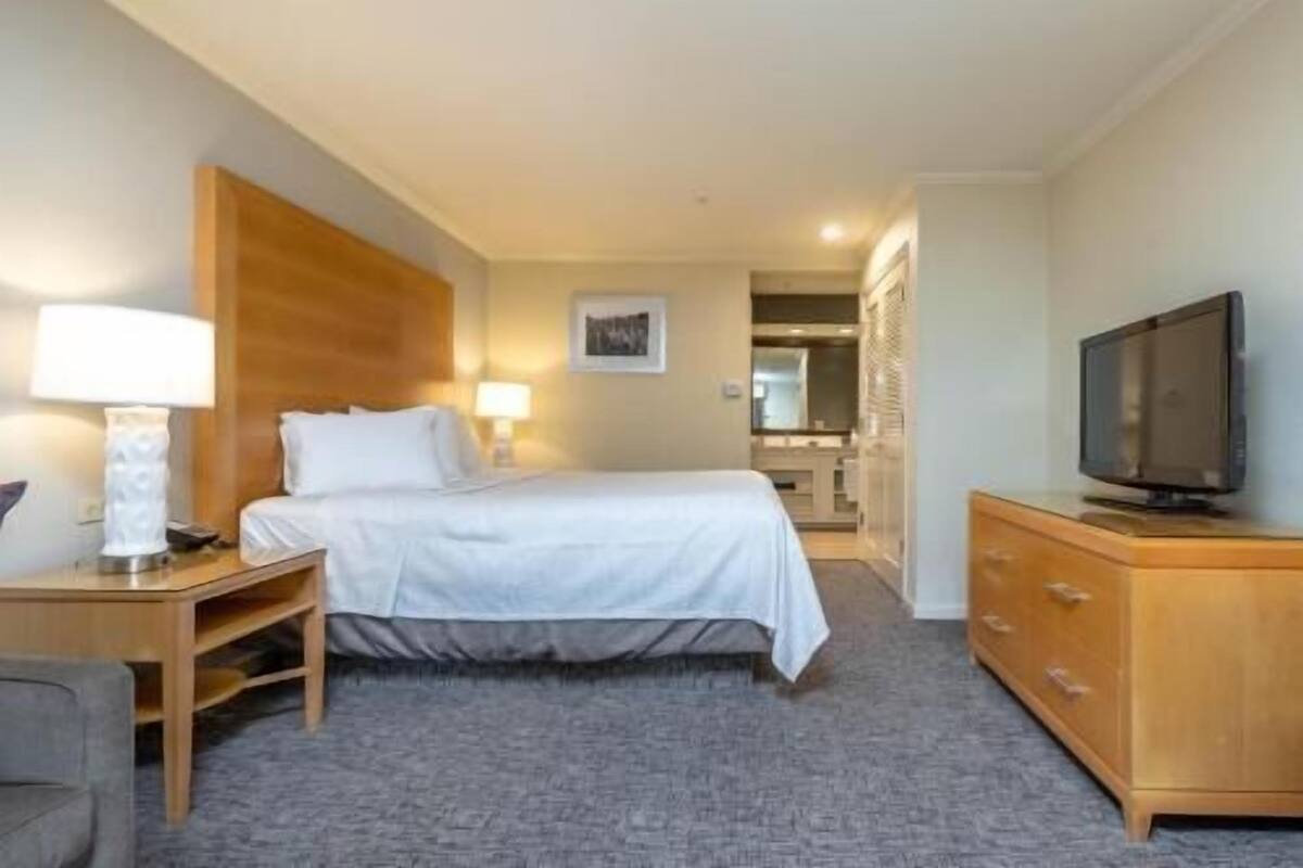Une chambre d’hôtel avec un lit, des lampes de chevet, une télévision, une commode en bois et un sol recouvert de moquette.