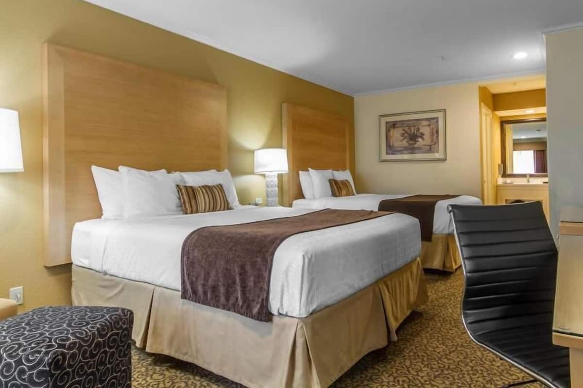 Ropa de cama hipoalergénica y caja de seguridad en la habitación