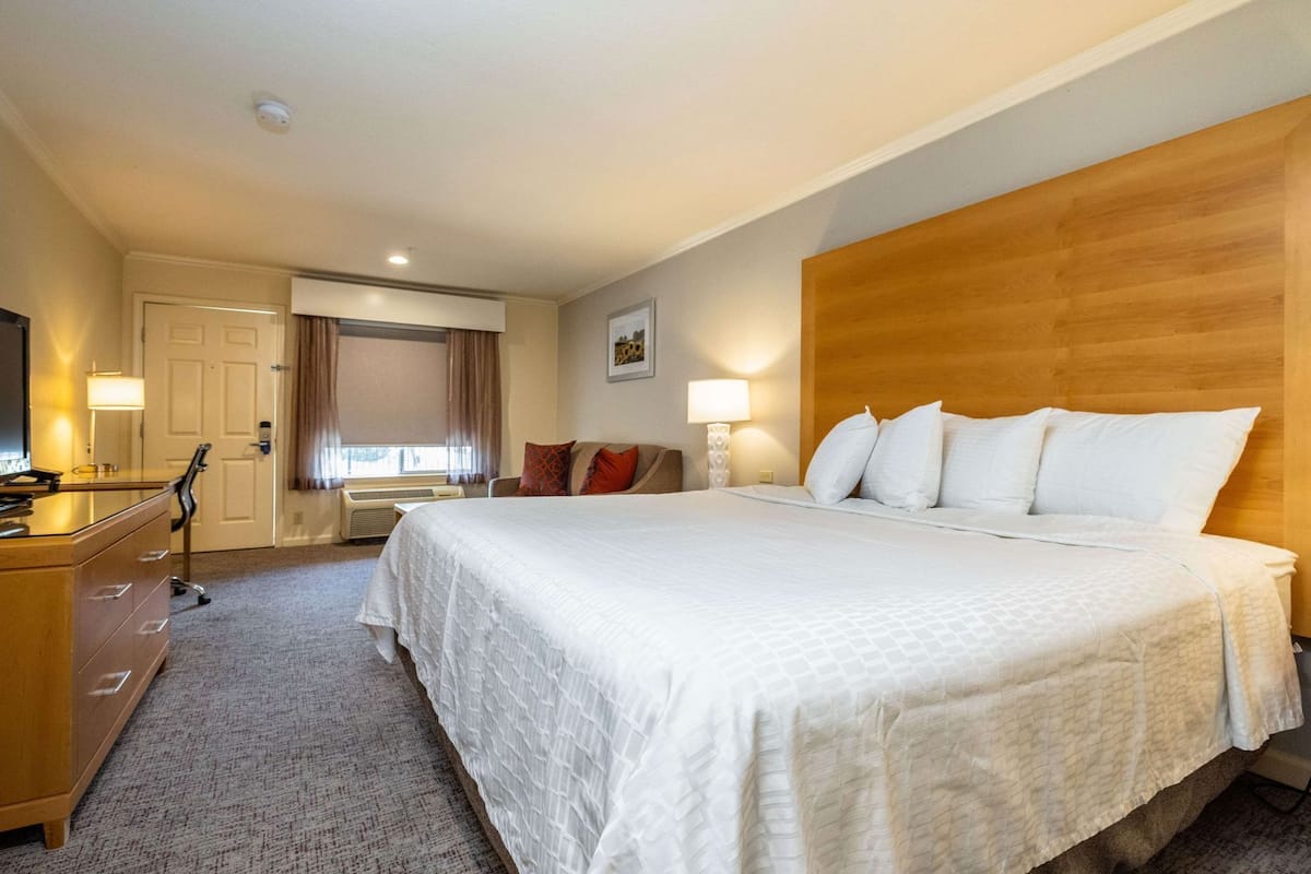 Ropa de cama hipoalergénica y caja de seguridad en la habitación