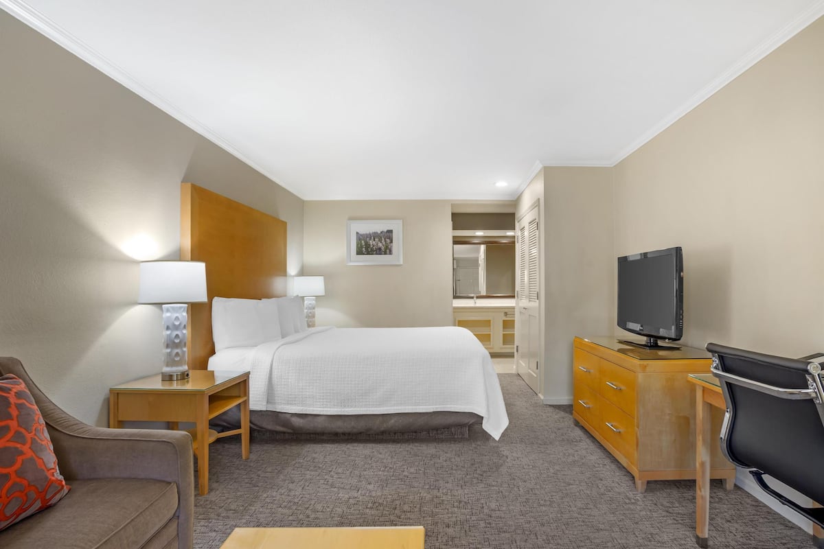 Une chambre d’hôtel comprenant un lit, un bureau avec une télévision, une chaise, une commode et une table de chevet avec des lampes.