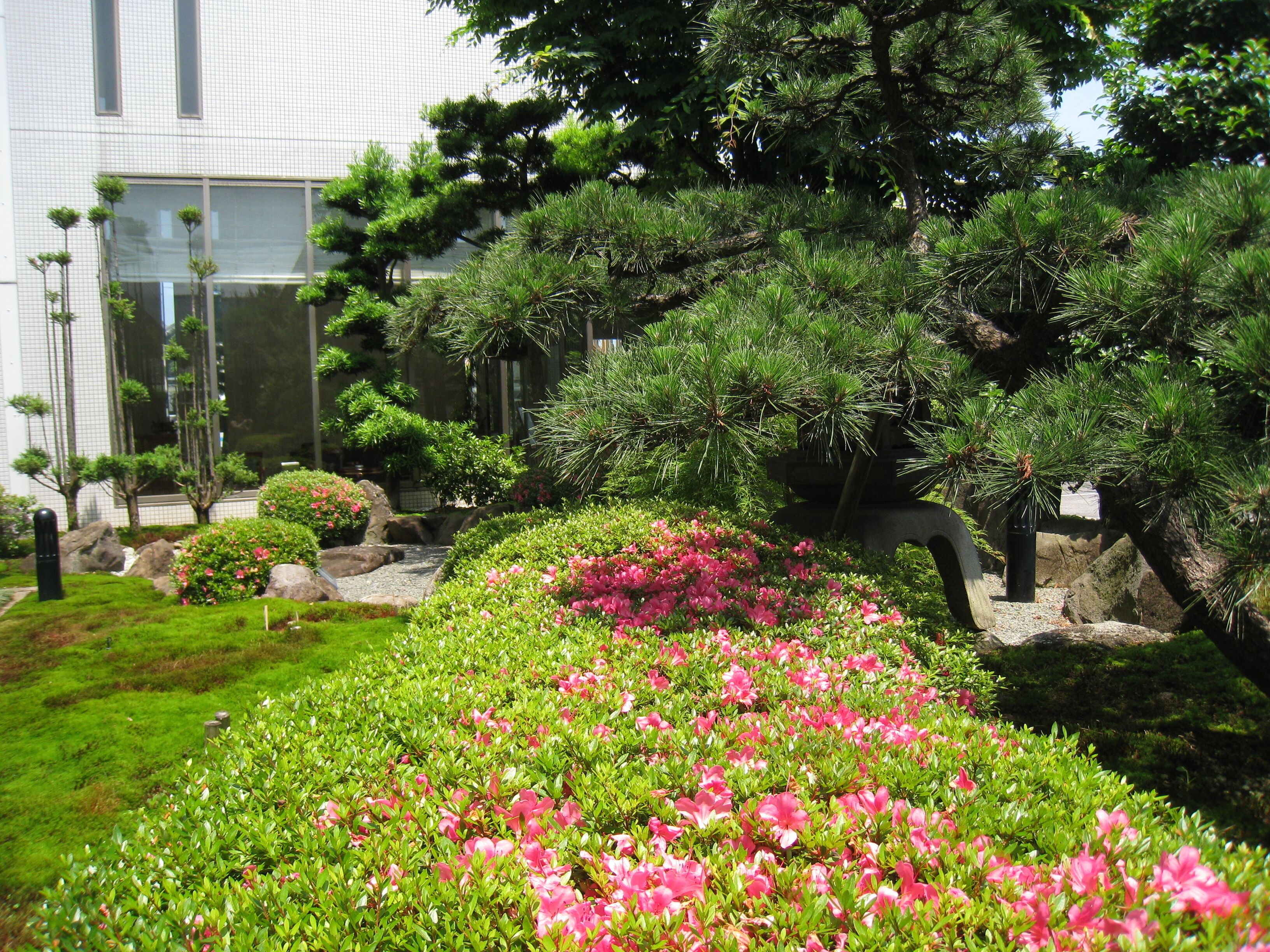 Un jardín bien cuidado con diversas plantas y flores, un camino de piedra y un edificio con ventanas grandes al fondo.