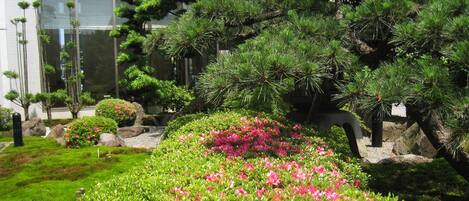 Un jardín bien cuidado con diversas plantas y flores, un camino de piedra y un edificio con ventanas grandes al fondo.