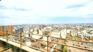 Un paisaje urbano con edificios, calles y un puente.