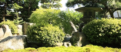 Japanese garden